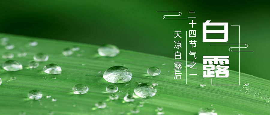 1757298948505719.jpg 包图_3e510a3b15cf32b30718d1b52c6def55_42269.jpg